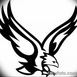 снимка Скици на татуировка на орел от 21.10.2017 г. №011 - Скици на татуировка на орел -