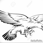 снимка Скици на татуировка на орел от 21.10.2017 г. №065 - Скици на татуировка на орел -