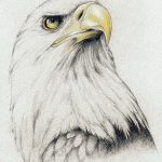 снимка Скици на татуировка на орел от 21.10.2017 г. №072 - Скици на татуировка на орел -