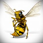 darázs tetoválás vázlata 2020.01.07. №071 -mázsa tetoválás vázlata -