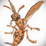 darázs tetoválás vázlata 2020.01.07. №066 -mázsa tetoválás vázlata -