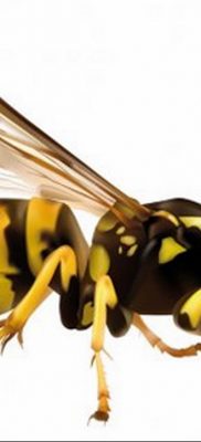 darázs tetoválás vázlata 2020.01.07. №042 -mázsa tetoválás vázlata -