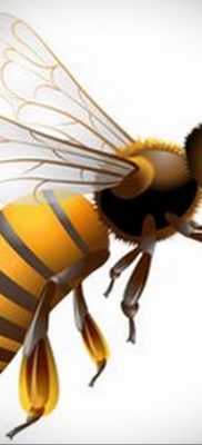 darázs tetoválás vázlata 2020.01.07. №040 -mázsa tetoválás vázlata -