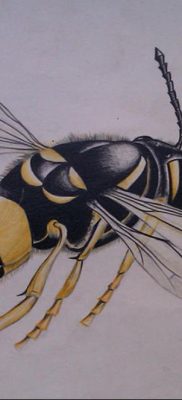 darázs tetoválás vázlata 2020.01.07. №038 -darázs tetoválás vázlata -