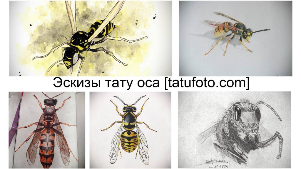 Darázs tetoválás vázlatok - rajzok gyűjteménye tetoválásokhoz és érdekes tények azok jellemzőiről és lehetőségeiről