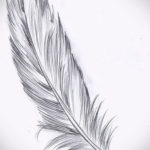 رسم للوشم ريشة سوداء 09/26/2019 №037 -رسم وشم ريشة-