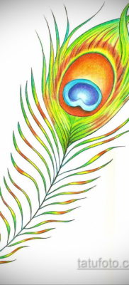 رسم لوشم ريشة الطاووس 26.09.2019 №027 -رسم وشم ريشة-