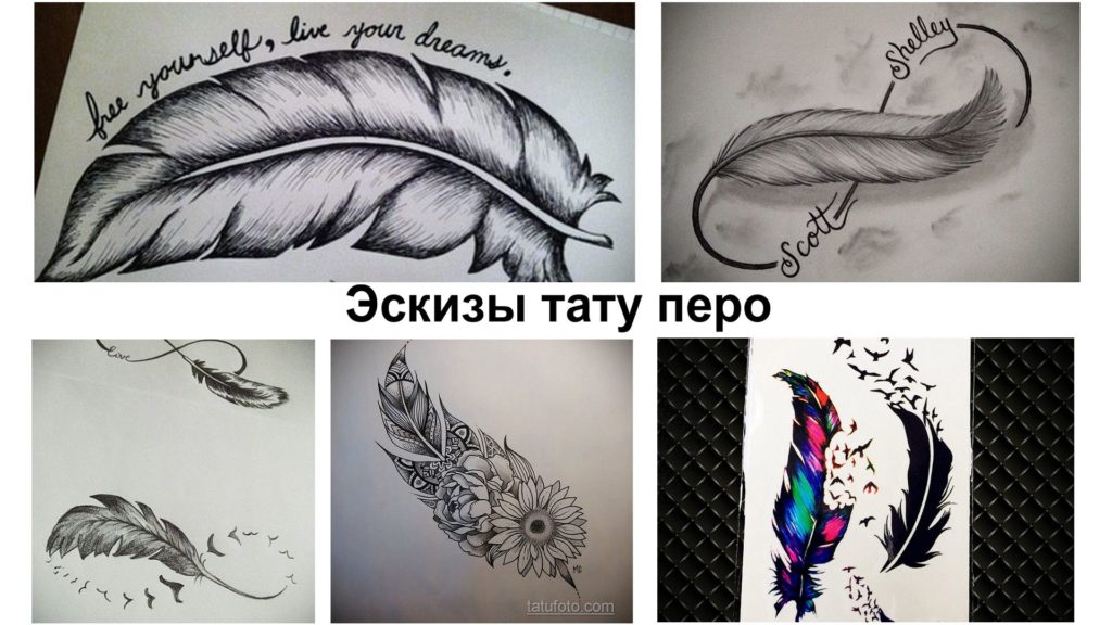 رسومات وشم الريش - مجموعة من الرسومات والمعلومات حول الميزات