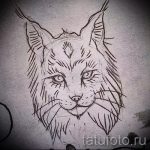 A hiúz tetoválási vázlatának érdekes változata - használható hiúz geometria tetoválásához