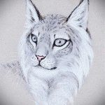 A hiúz tetoválási vázlatának stílusos változata - használható hiúz tetováláshoz a csuklón