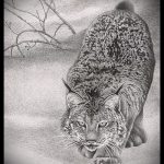 A hiúz tetoválási vázlatának egyedi változata - használható egy hiúz tetoválására a lábán