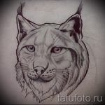 A hiúz tetoválási vázlatának egyedi változata - használható egy hiúz tetoválására egy lány számára