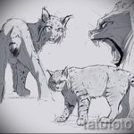 A hiúz tetoválási vázlatának hűvös változata - használhatja a hiúz jelentését egy tetováláshoz