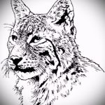 A hiúz tetoválási vázlatának érdekes változata - használható a hiúz tetoválásához a combon