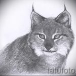 A hiúz tetováló vázlatának tisztességes változata - használható a hiúz tetováláshoz lányoknak