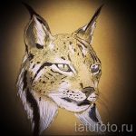 A hiúz tetoválási vázlatának hűvös változata - hiúz vigyortetováláshoz használható