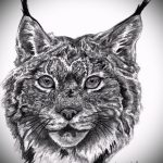 A hiúz tetoválási vázlatának érdekes változata - felhasználható egy hiúz grafikusának tetoválásához