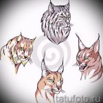 A hiúz tetováló vázlatának hűvös változata - használható a hiúz tetoválásához a karon