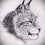 A hiúz tetováló vázlatának méltó változata - használható a hiúz tetoválásához a hátán