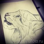 A hiúz tetoválási vázlatának hűvös változata - használható egy hiúz tetoválásának megtekintésére