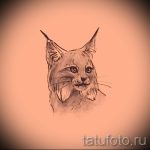 A hiúz tetoválási vázlatának hűvös változata - fekete hiúz tetoválásához használható