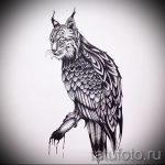 A hiúz tetováló vázlatának érdekes változata - használható férfiak hiúz tetoválásához