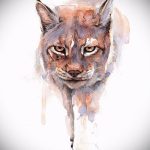 A hiúz tetoválási vázlatának érdekes változata - használható egy hiúz tetováláshoz lányoknak