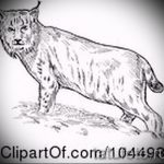 A hiúz tetoválási vázlatának stílusos változata - hiúz tetováláshoz használható a vállán