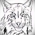 A hiúz tetoválási vázlatának hűvös változata - használható a hiúz tetoválásához a vállán