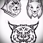 A hiúz tetováló vázlatának méltó változata - használható hiúz tetováláshoz a csuklón