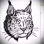 Stílusos változata tetoválás vázlat hiúz - használható hiúz vigyor tetoválás