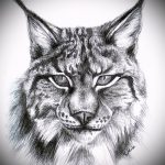 A hiúz tetoválási vázlatának eredeti változata - használható egy hiúz tetoválására a combon