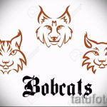 A hiúz tetoválási vázlatának hűvös változata - használható a hiúz tetoválásához a karon