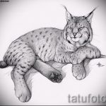 A hiúz tetoválási vázlatának érdekes változata - használható egy hiúz akvarell tetoválásához