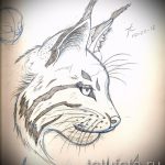 A hiúz tetoválási vázlatának egyedi változata - használható egy hiúz tetoválására a hátán