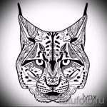 A hiúz tetoválási vázlatának egyedi változata - fekete hiúz tetoválásához használható