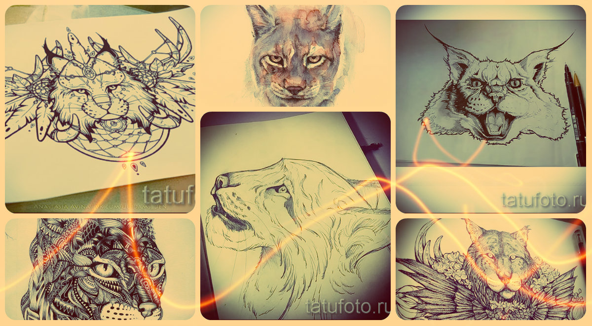 Hiúz tetoválás vázlatok - a legjobb lehetőségek a hiúz tetoválás rajzolásához