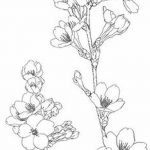 fotó Vázlatok Sakura tetoválásról 2018.01.27. №156 - Sakura tetoválás vázlatai -