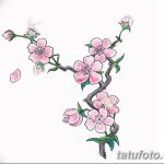 fotó Vázlatok Sakura tetoválásról 2018.01.27. №164 - Sakura tetoválás vázlatai -