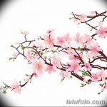 fotó Vázlatok Sakura tetoválásról 2018.01.27. №126 - Sakura tetoválás vázlatai -