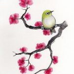 fotó Vázlatok Sakura tetoválásról 2018.01.27. №004 - Sakura tetoválás vázlatai -