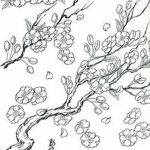 fotó Vázlatok Sakura tetoválásról 2018.01.27 -én №043 - Sakura tetoválás vázlatai -