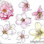 fotó Vázlatok Sakura tetoválásról 2018.01.27 -én №047 - Sakura tetoválás vázlatai -