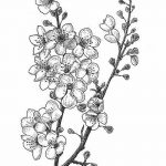 fotó Vázlatok Sakura tetoválásról 2018.01.27. №052 - Sakura tetoválás vázlatai -