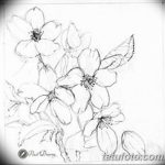 fotó Vázlatok Sakura tetoválásról 2018.01.27. №093 - Sakura tetoválás vázlatai -