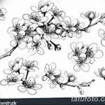 fotó Vázlatok Sakura tetoválásról 2018.01.27 -én №099 - Sakura tetoválás vázlatai -