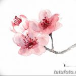 fotó Vázlatok Sakura tetoválásról 2018.01.27. №102 - Sakura tetoválás vázlatai -