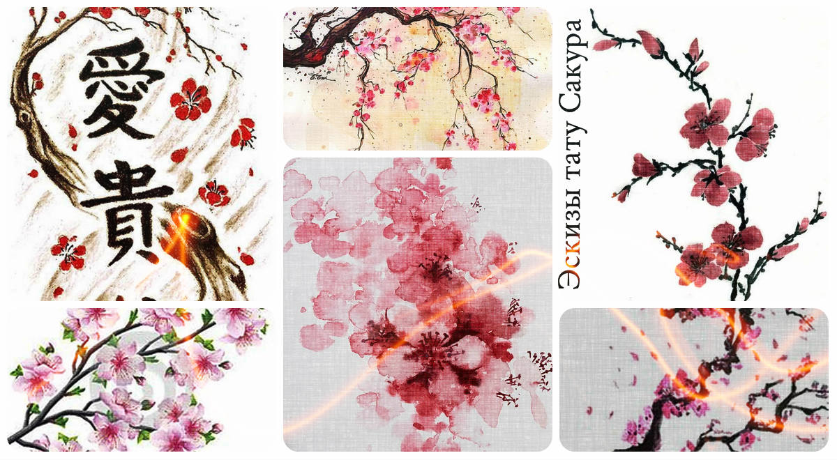 Sakura tetoválás vázlatok - érdekes rajzok gyűjteménye egy sakura tetováláshoz