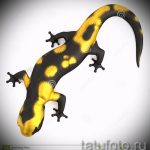 Hűvös vázlat egy szalamandra tetováláshoz - egy kép egy ötlethez egy exkluzív szalamandra tetováláshoz