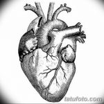 снимка Скици на татуировка Сърце от 20.06.2018 №251 - Скици Татуировка Сърце -